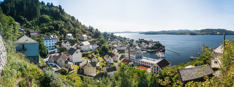 IMG_3683-IMG_3687-800