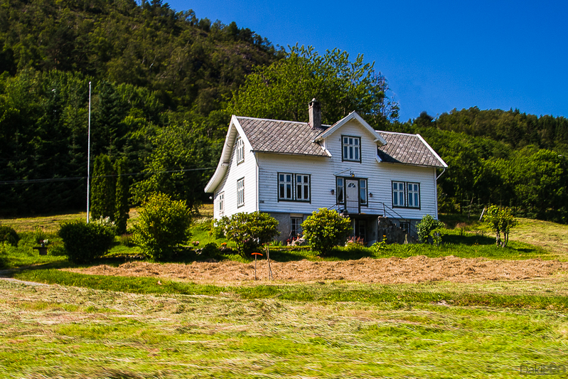 IMG_4017-Edit-Edit-800