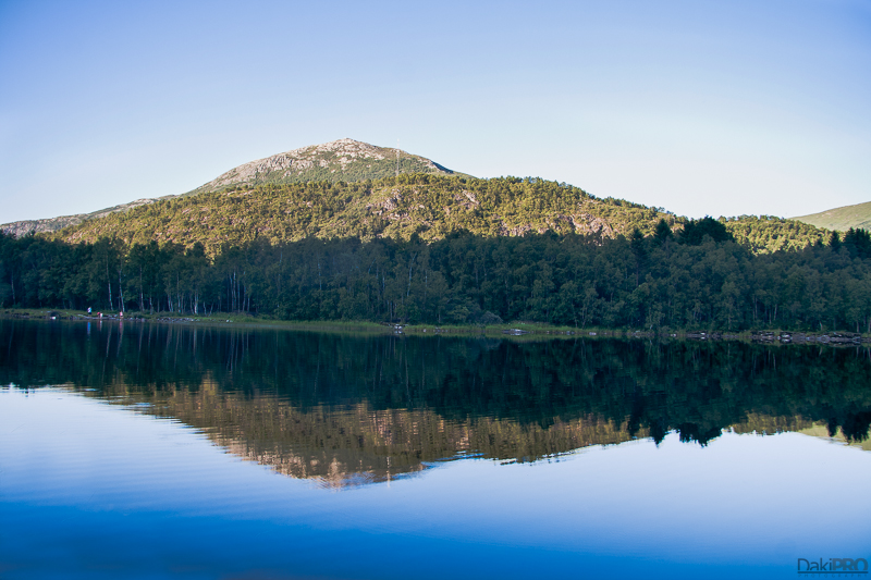 IMG_4120-Edit-Edit-800