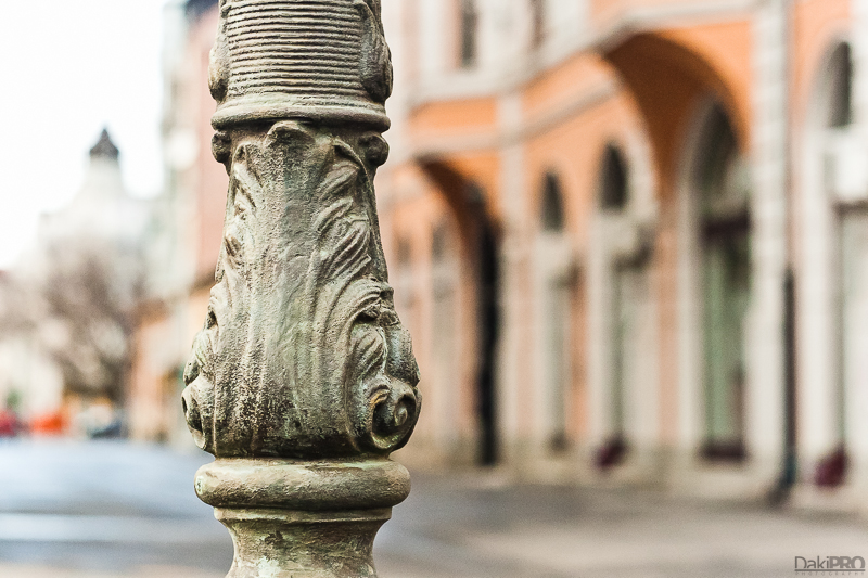 01-07-2011_13.53_-_NS_-_Setnja_-_IMG_5372-1-800