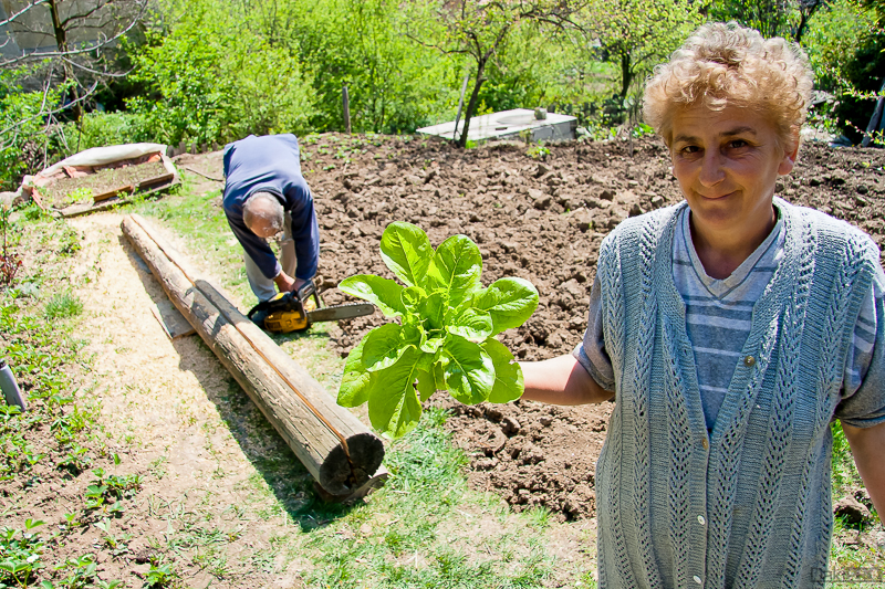 04-23-2011_13.12_-_Bor_Family_-_Dragica_Daca_Dusan_Stefa_-_IMG_8326-1-800