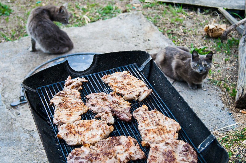 04-24-2011_14.02_-_Bor_Family_-_Dragica_Daca_Dusan_Stefa_-_IMG_8596-1-800