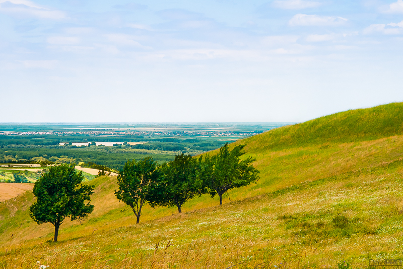 06-26-2011_14.08_-_NS_-_Fruska_Gora_setnja_-_Biciklisti_-_IMG_0425-1-800