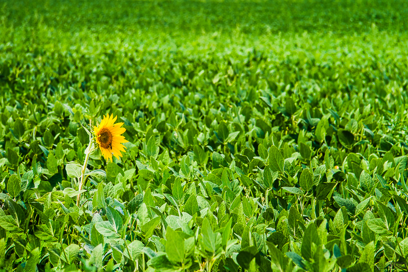 07-24-2011_14.26_-_NS_-_Kac_-_Salas_84_-_IMG_0661-1-800