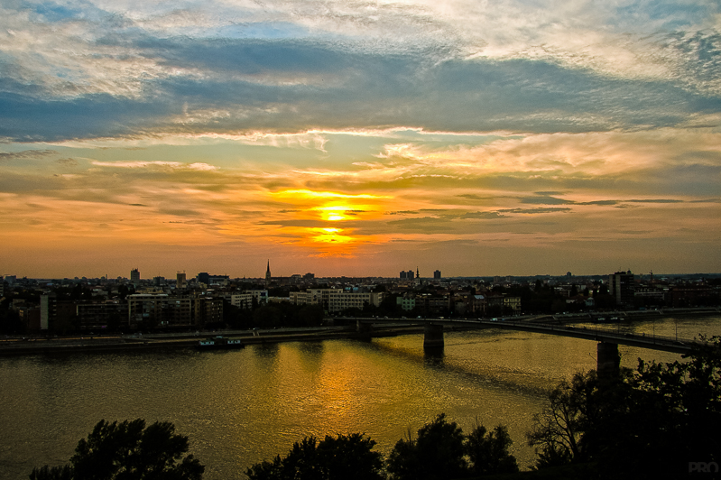 08-07-2011_19.28_-_NS_-_Petrovaradin_-_harfa_-_IMG_1111-Edit-1-800