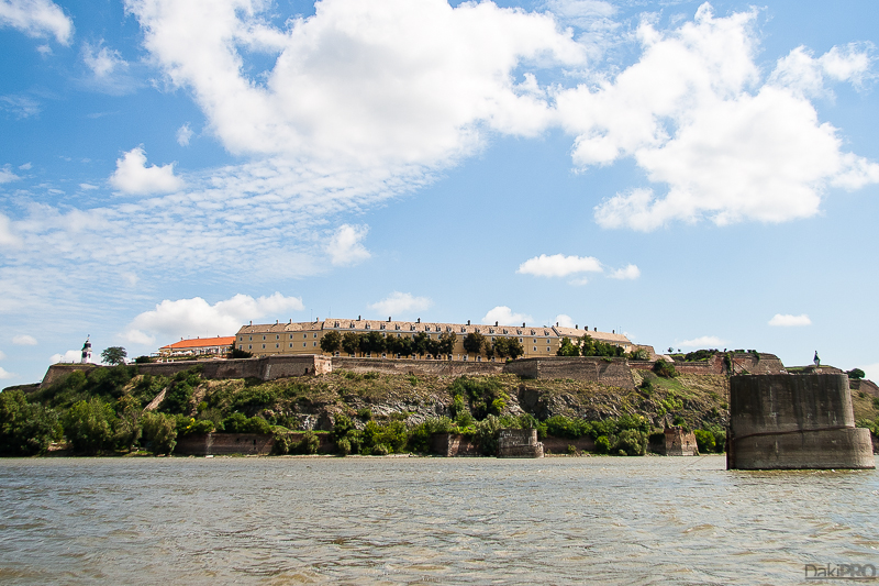 08-10-2011_11.28_-_NS_-_Ivica_Bilja_Daki_-_IMG_1342-1-800