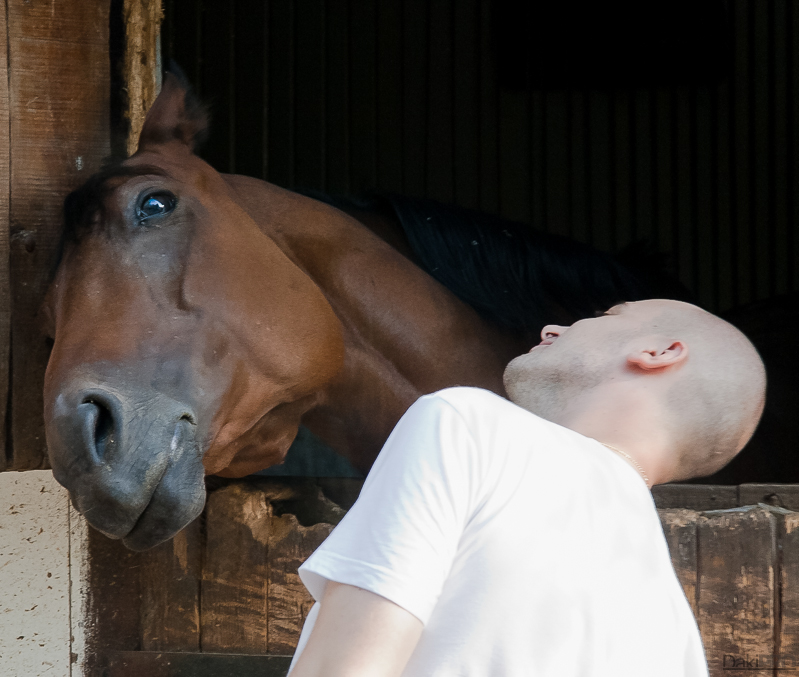 09-01-2011_17.20_-_Salas_137_-_konji_-_IMG_1830-1-800