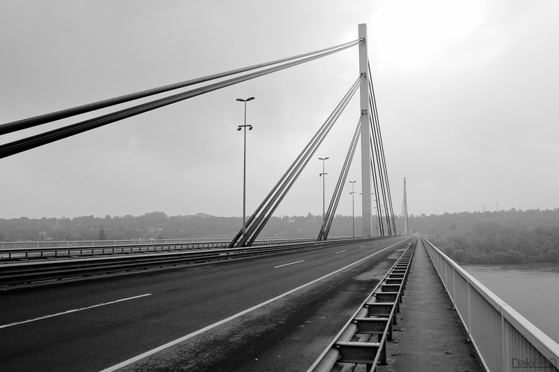 10-17-2010_11.04_-_NS_-_Setnja_-_IMG_1949-1-800