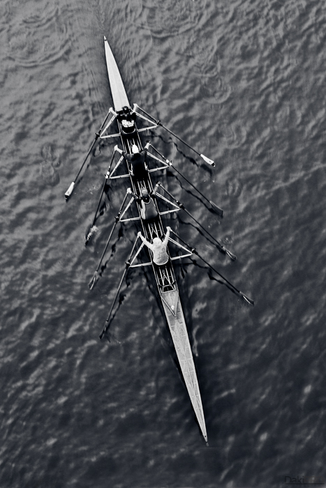 10-17-2010_11.08_-_NS_-_Setnja_-_IMG_1973-Edit-1-800