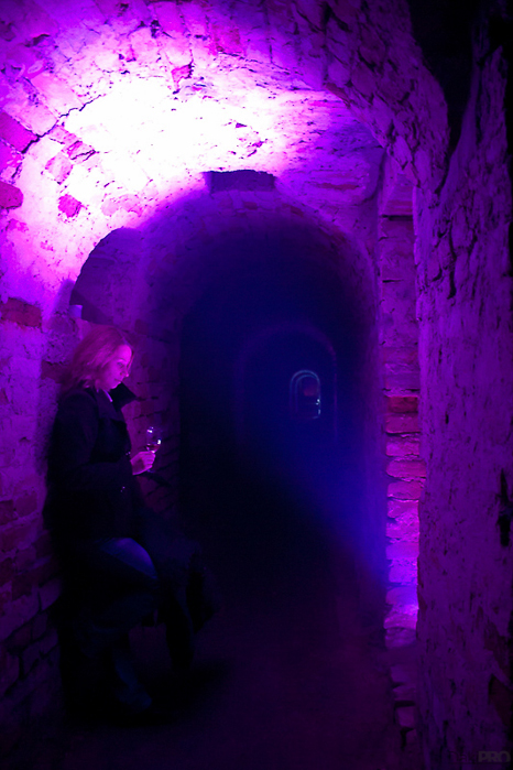 10-24-2010_00.07_-_NS_Petrovaradin_-_Tuneli_Tvrdjave_-_vinski_lavirint_-_CRW_2457-1-res-800