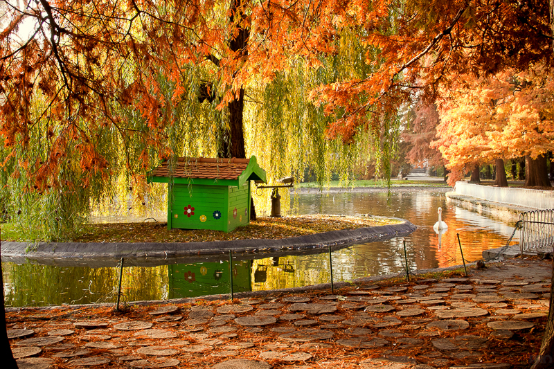 10-31-2010_09.02_-_NS_-_Dunavski_park_u_jesen_-_CRW_2582-1-800