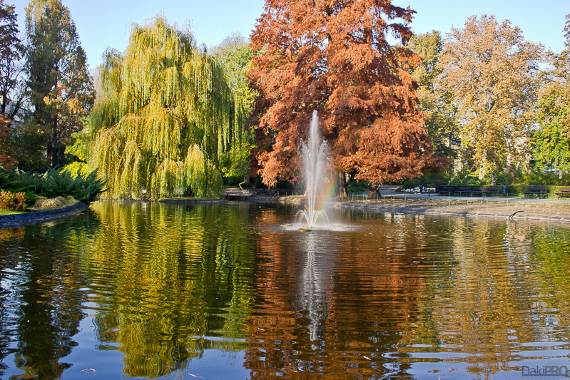 10-31-2010_09.19_-_NS_-_Dunavski_park_u_jesen_-_CRW_2614-Edit-1-800