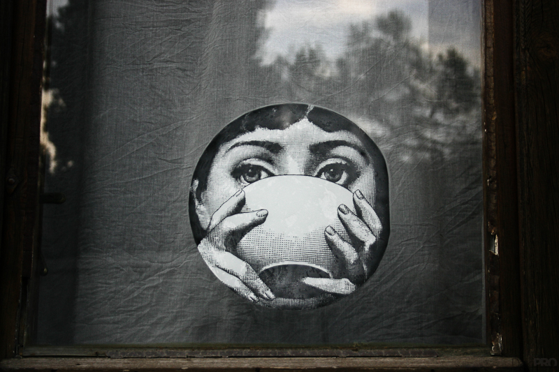 11-07-2010_16.01_-_Sremski_Karlovci_-_Setnja_Biki_Daki_-_IMG_3337-1-800