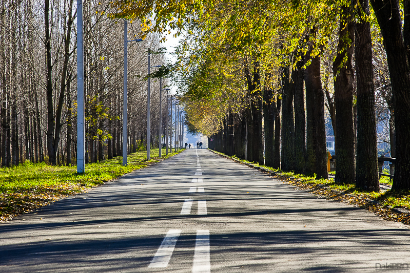 11-13-2010_14.42_-_Backa_Palanka_-_Park_Tikvara_-_Jezero_-_CRW_3586-1-800