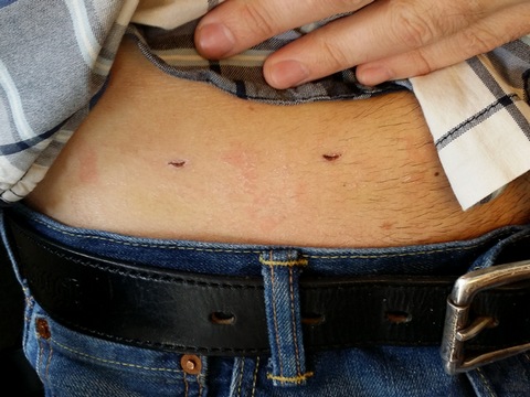 2015-05-08 11.46.09-800